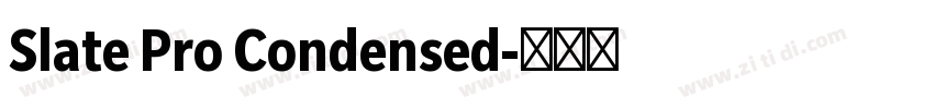 Slate Pro Condensed字体转换